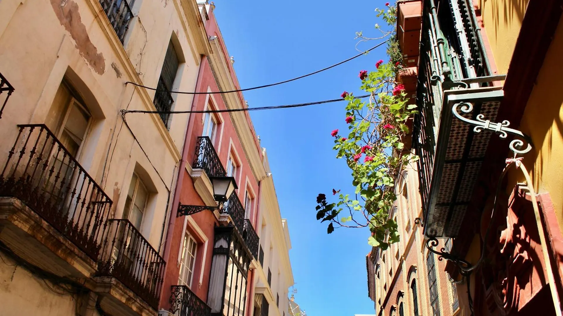 Wish Suite Plaza Nueva Seville Apartment